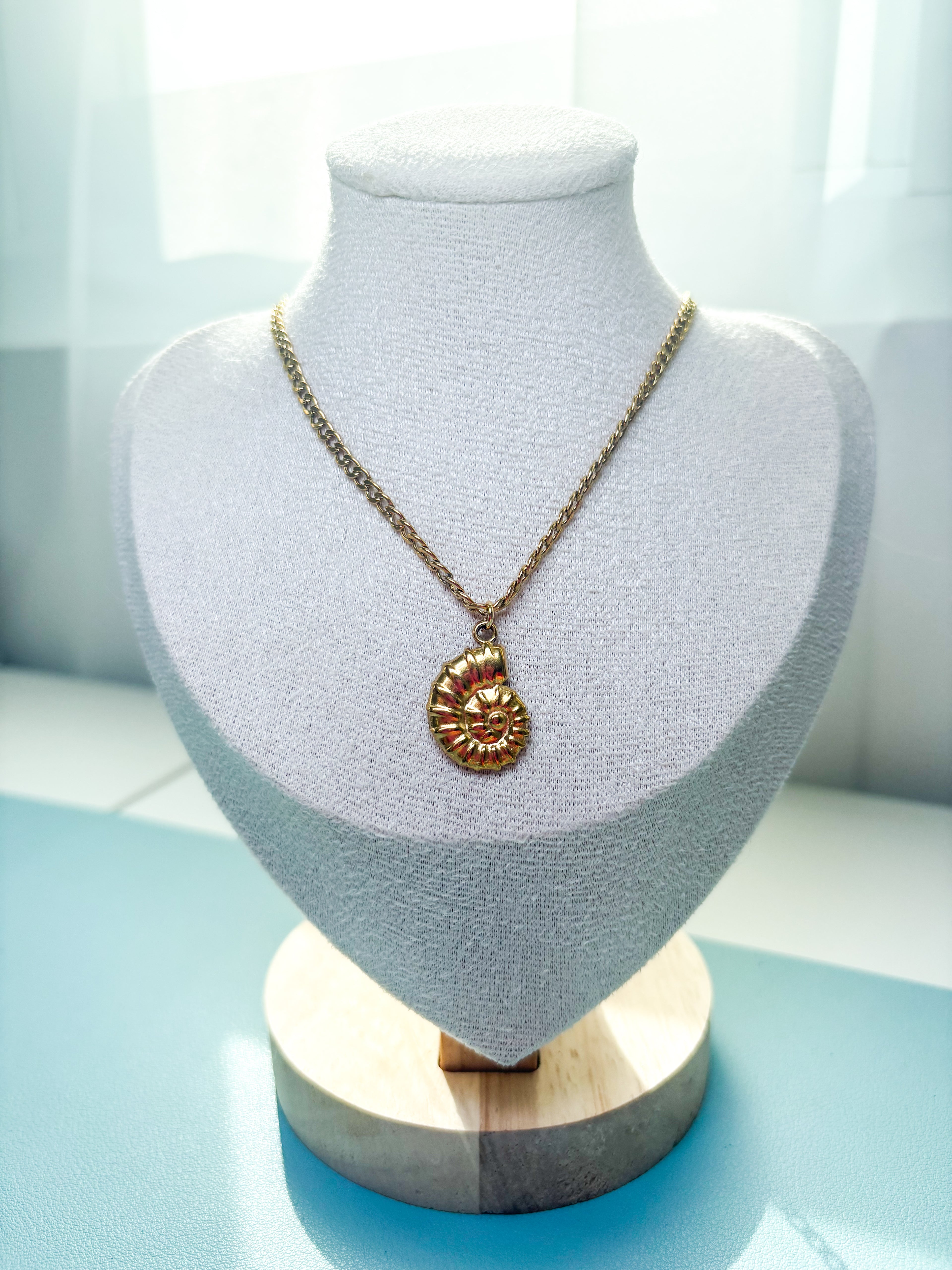 Sunlit Shell