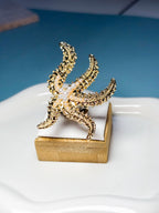 Isla Estrella Ring