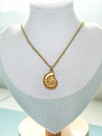 Sunlit Shell