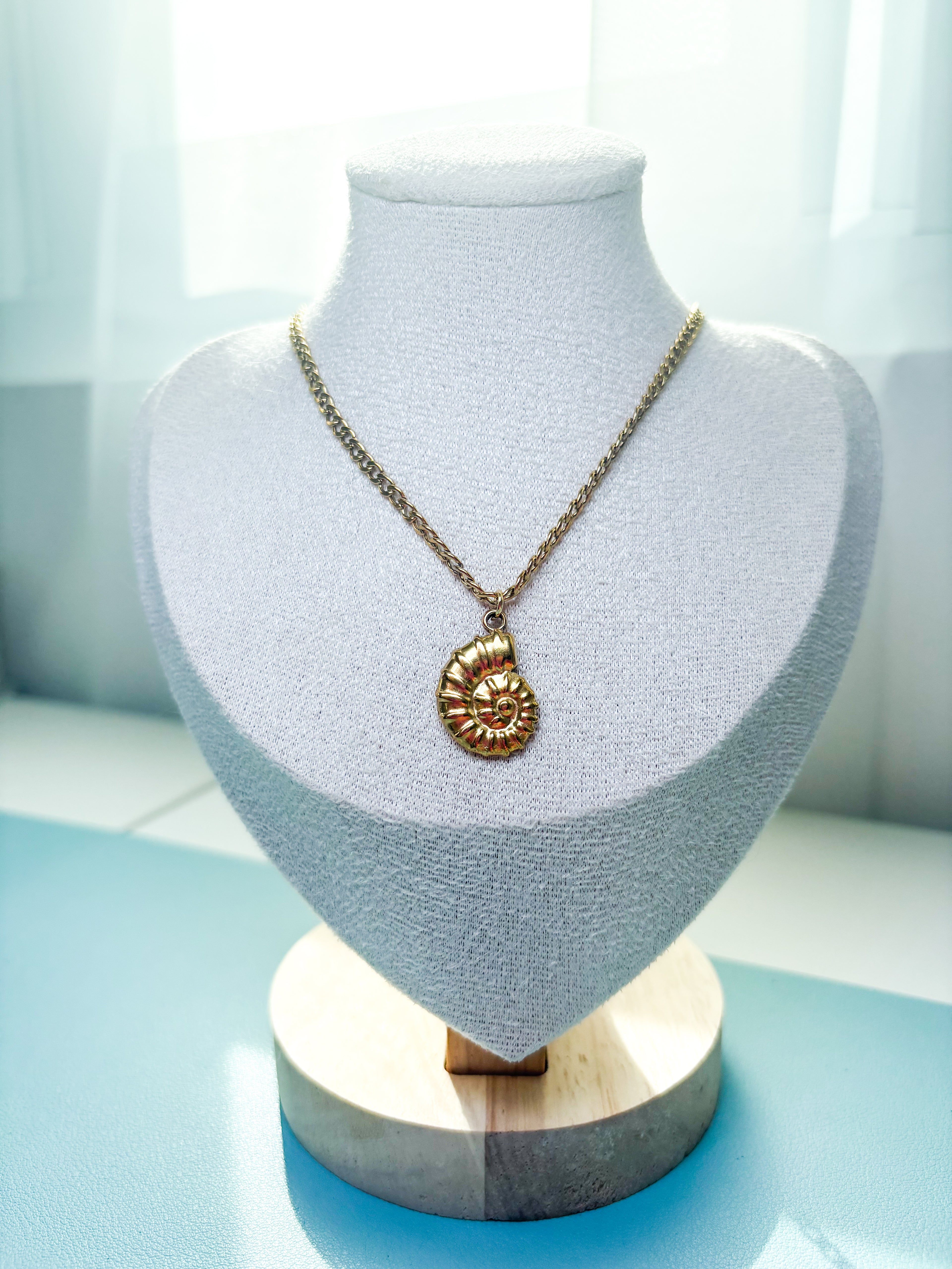 Sunlit Shell
